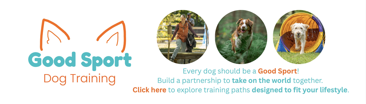 Good sport dog training